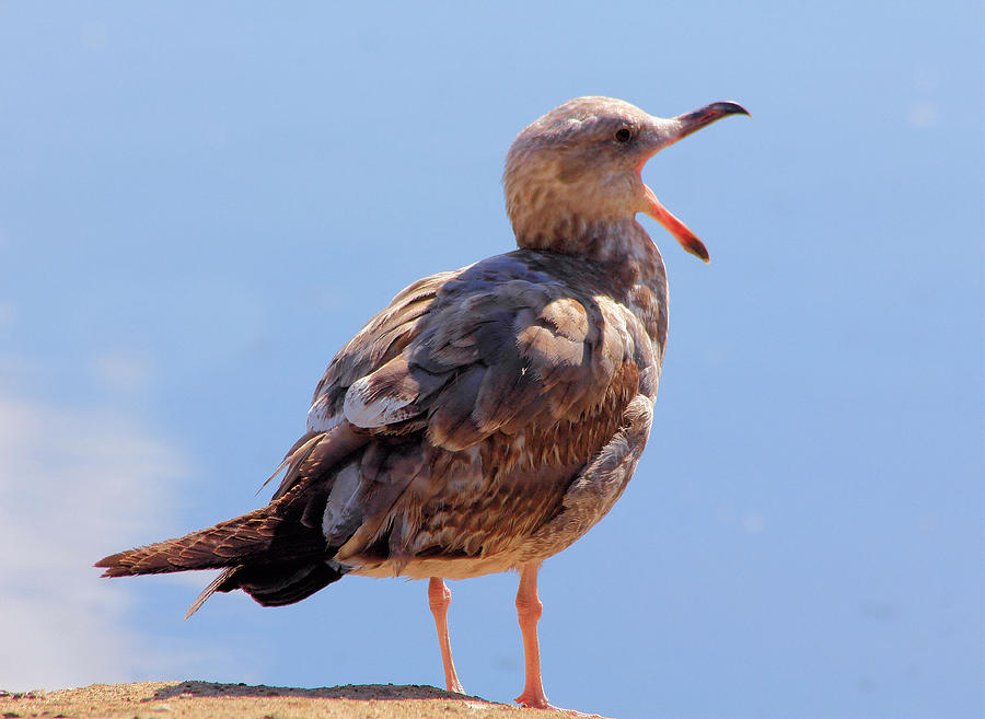 Behavior over Belief | "The Old Fool" – Martin Lehman