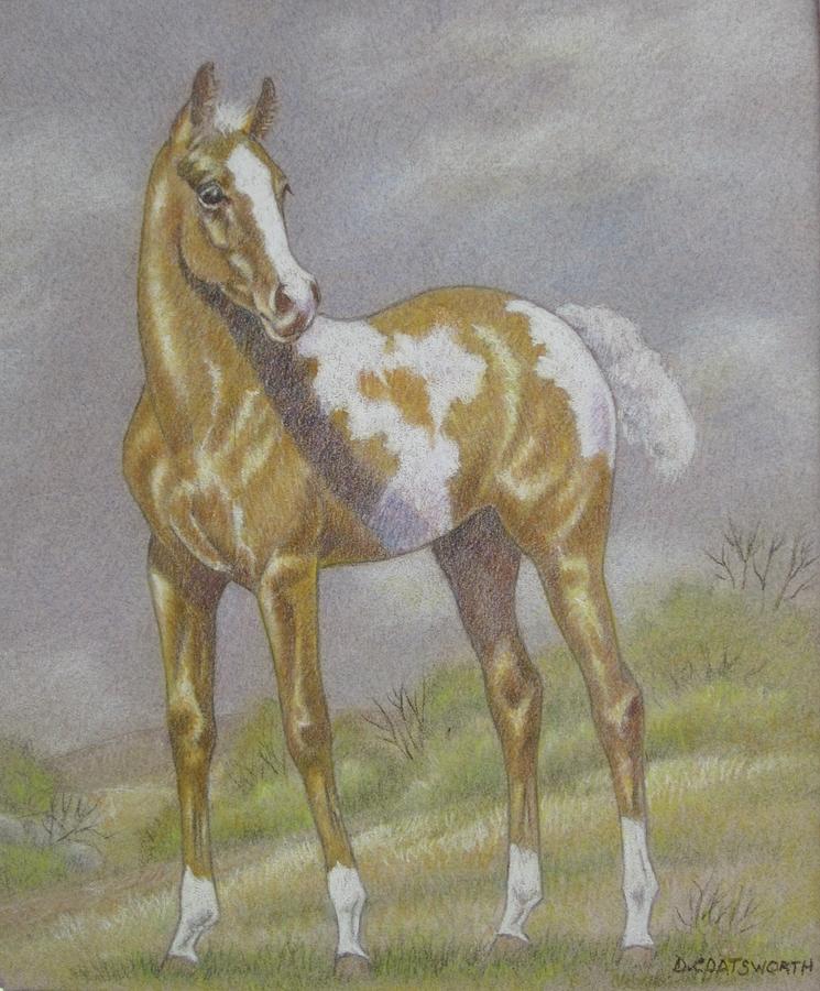  - palomino-paint-foal-dorothy-coatsworth