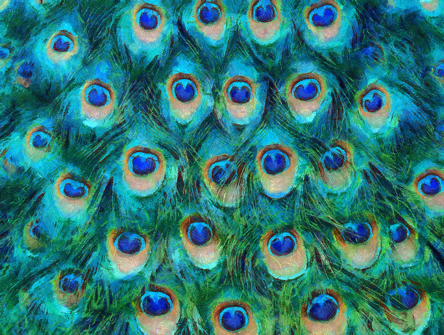 Peacock Plumage