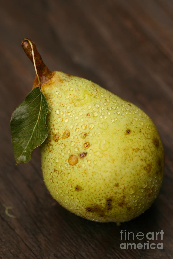 Photography Pear