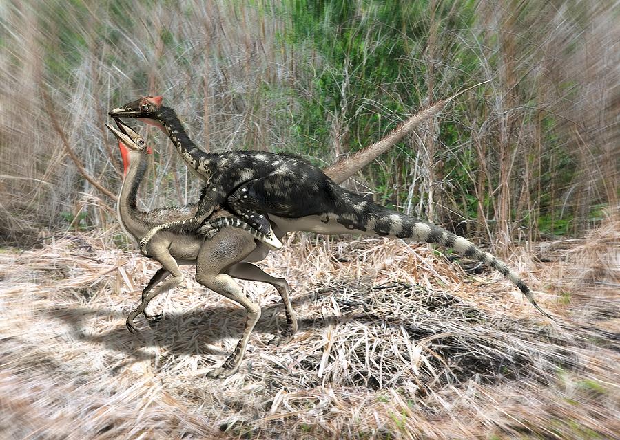 Pelecanimimus Dinosaurs Mating Photograph By Jose Antonio Pe As Pixels