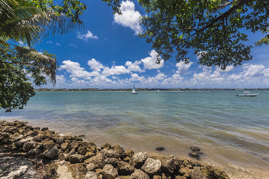 Pelican Island Photograph By Dan Vidal