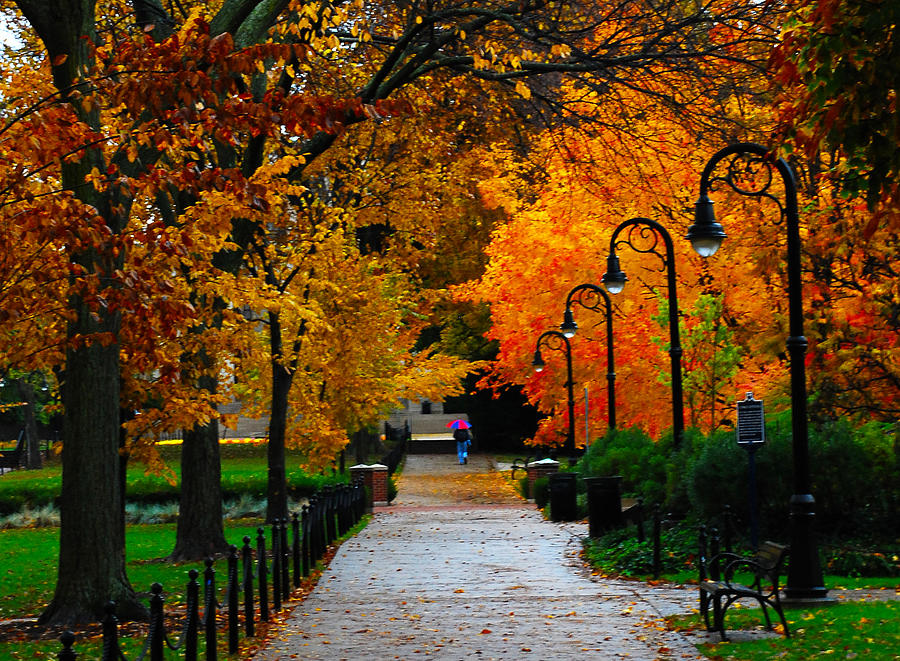 7 Photos To Make You Even More Obsessed With Penn State In The Fall