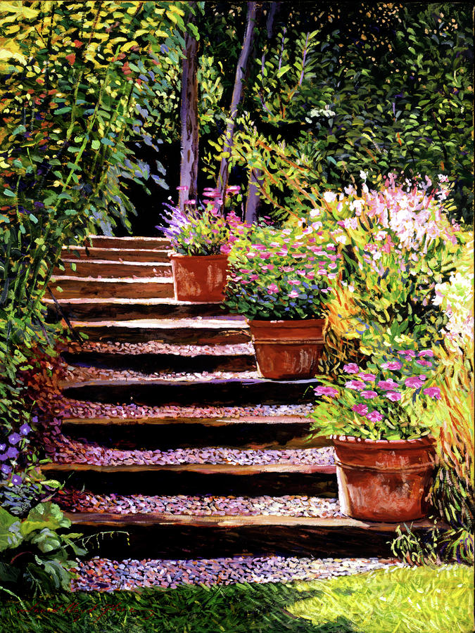 Wooden Steps