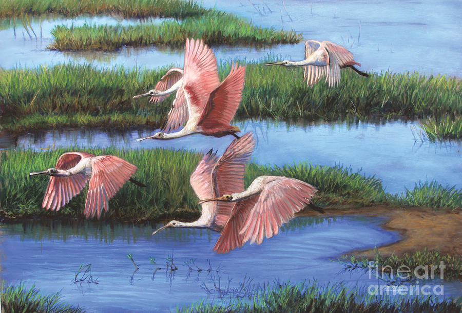 everglades paintings