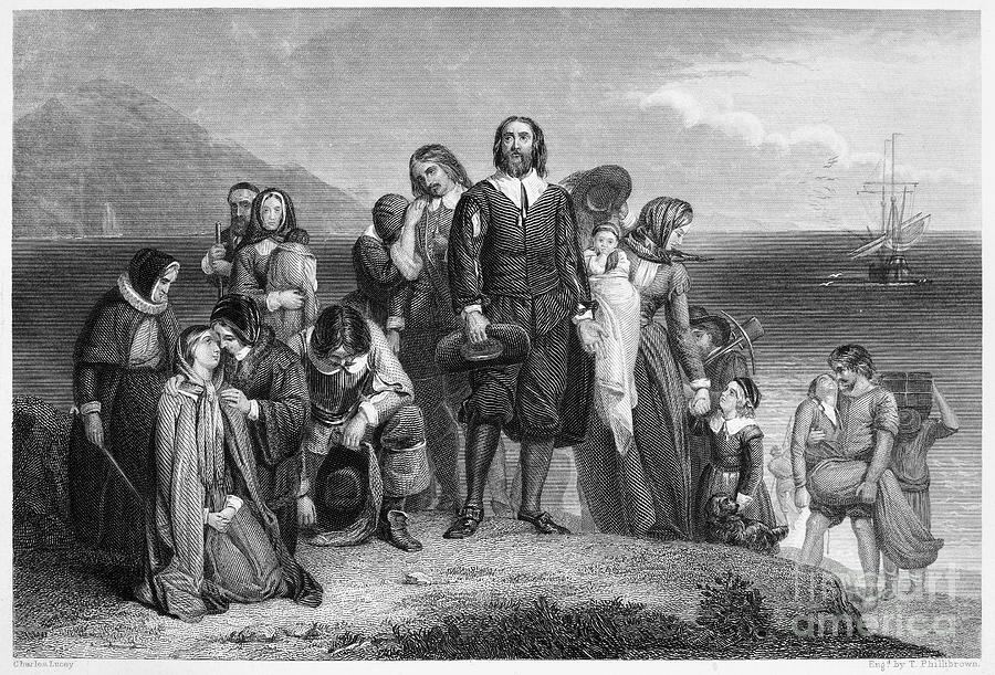 Plymouth Rock Pilgrims