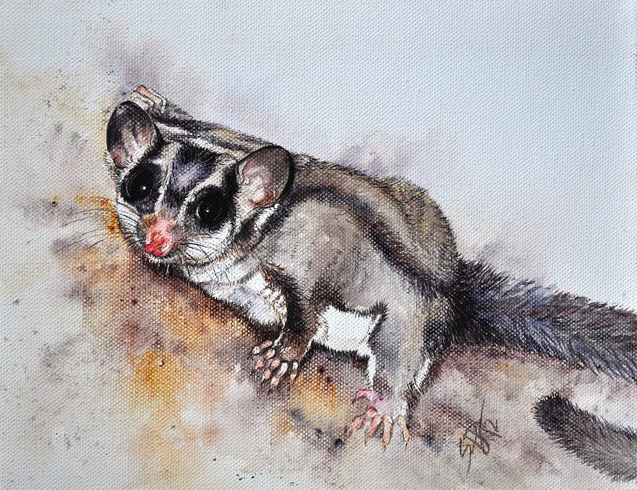 Sugar Possum