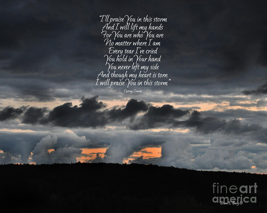 Praise You In The Storm by Diane E Berry