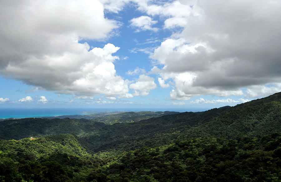 Mountains Puerto Rico