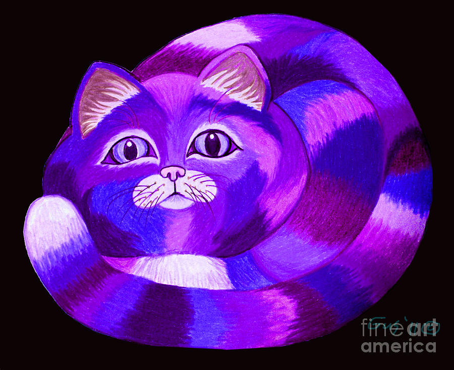 Cat Purple