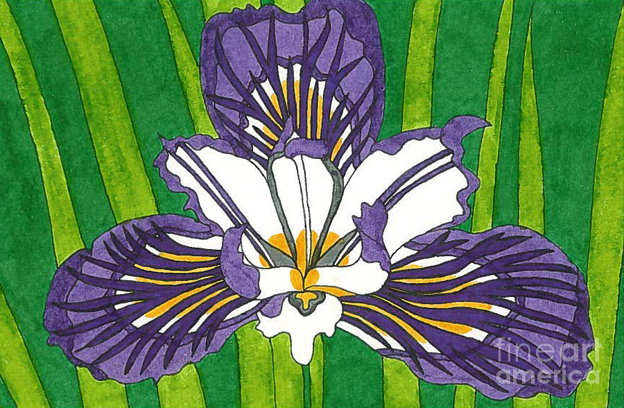 Purple Iris Drawing