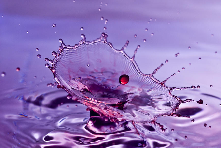 Purple Water Splash By Anthony Sacco