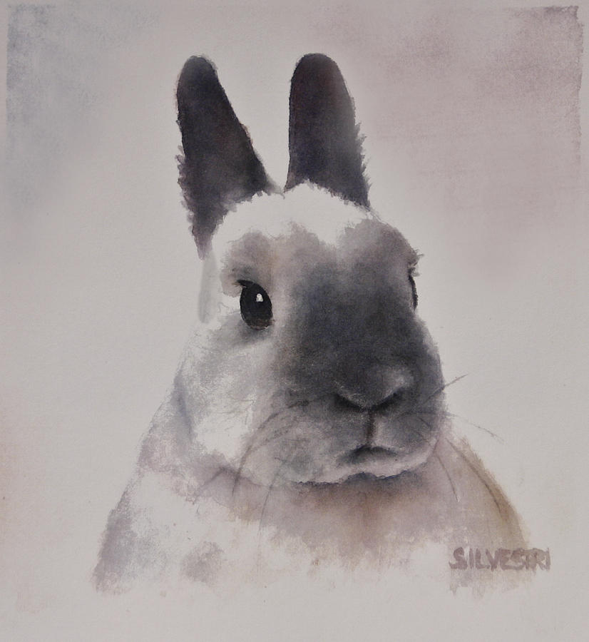 rabbit portrait