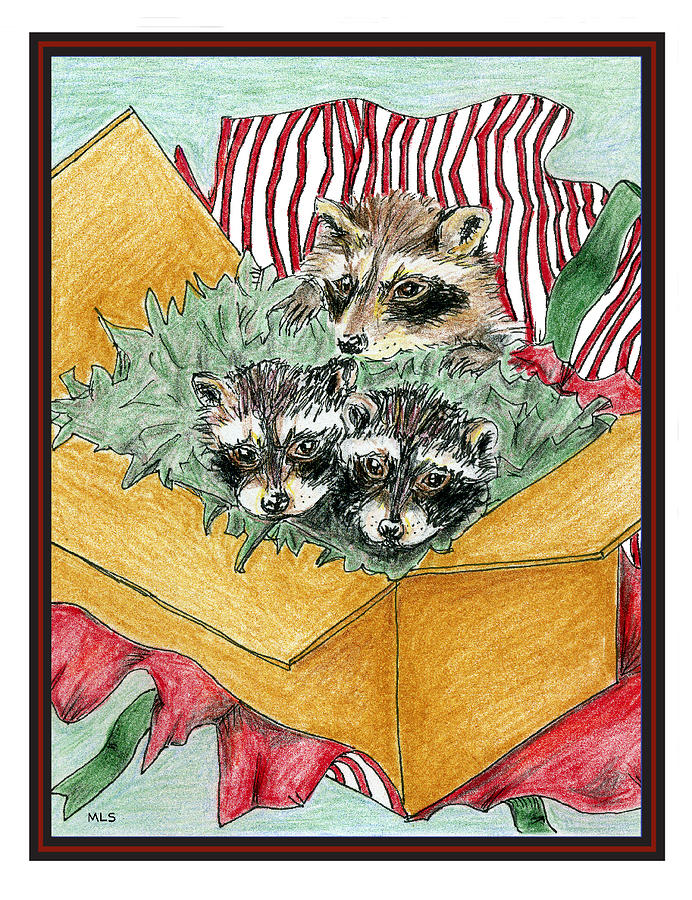 The Christmas Raccoon Doodle And Social Media