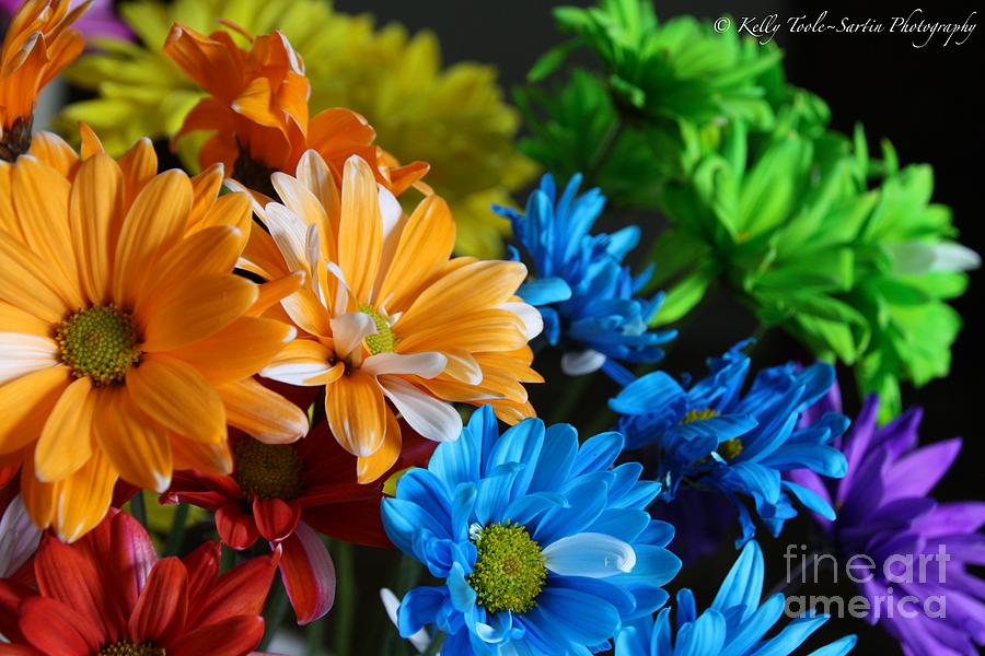 Rainbow Colored Flowers by Kelly TooleSartin