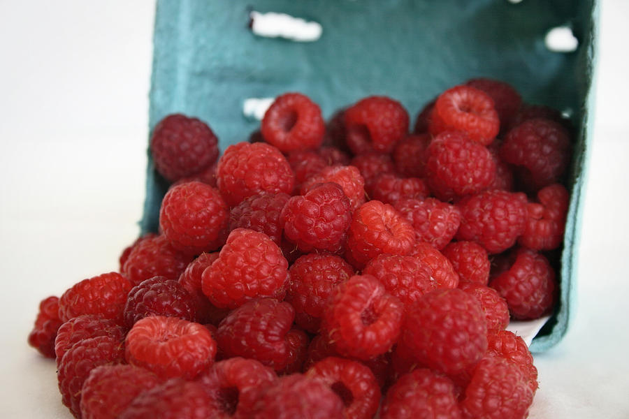 Raspberry Harvest