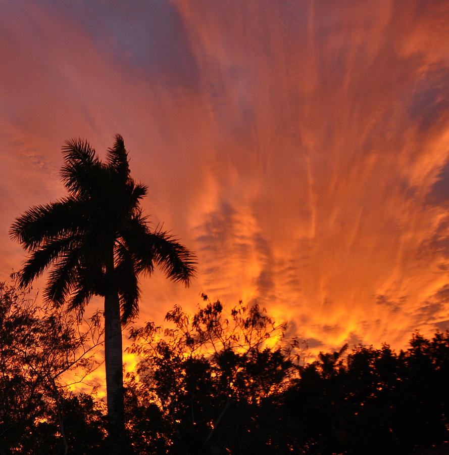  - red-skies-at-night-sailors-delight-sandy-poore