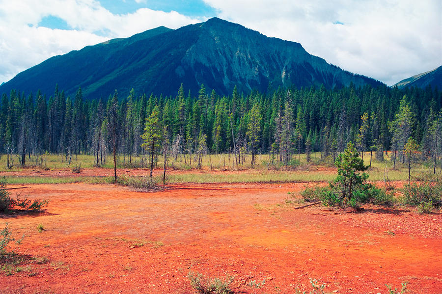 Canadian Soil