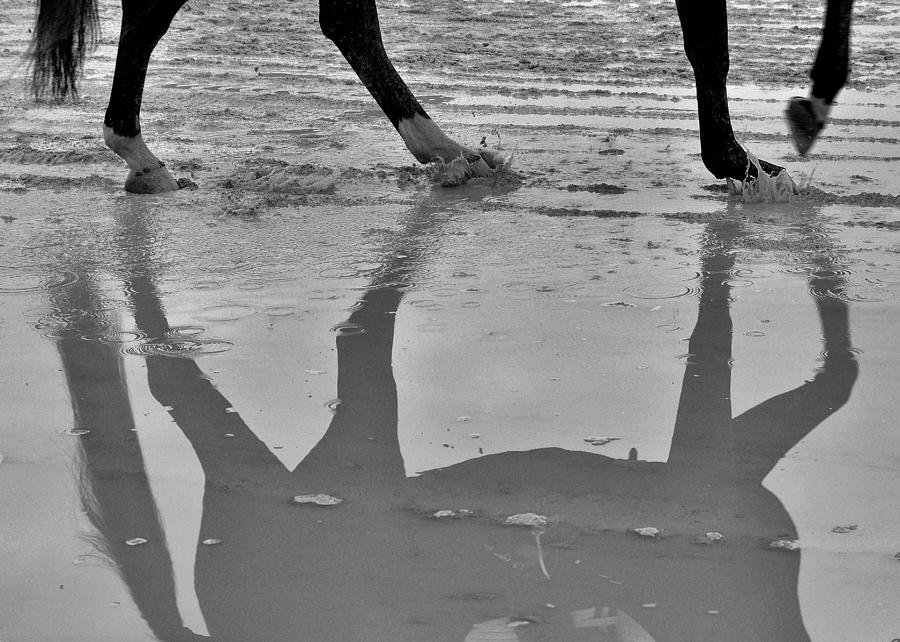 Rhythm by JAMART Photography