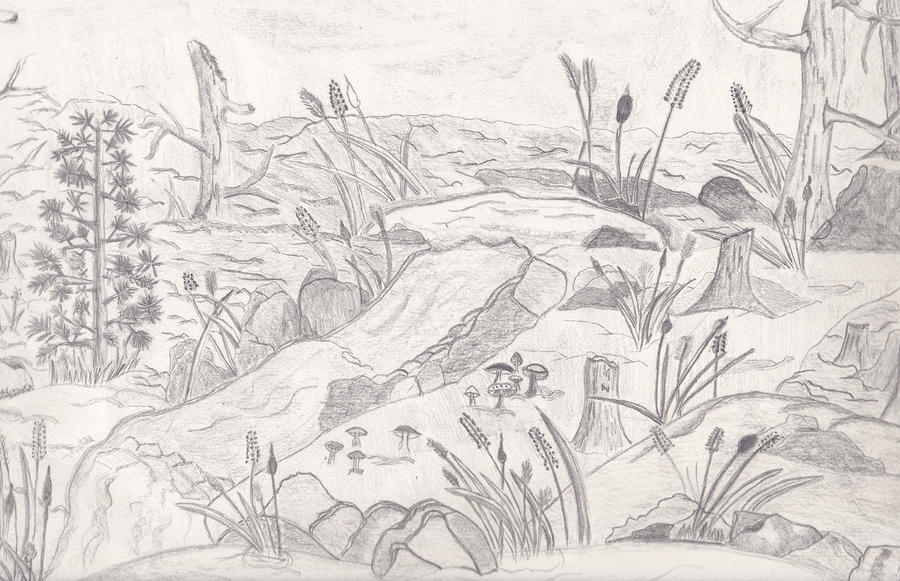 river scene pencil laurie gibson