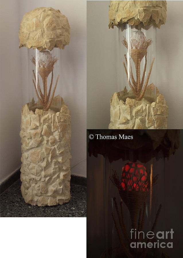  - rock-flower-thomas-maes