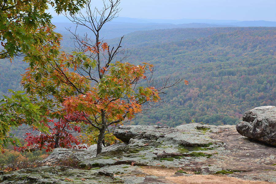 Rock Ledge 2 Photograph By Carman Turner Fine Art America