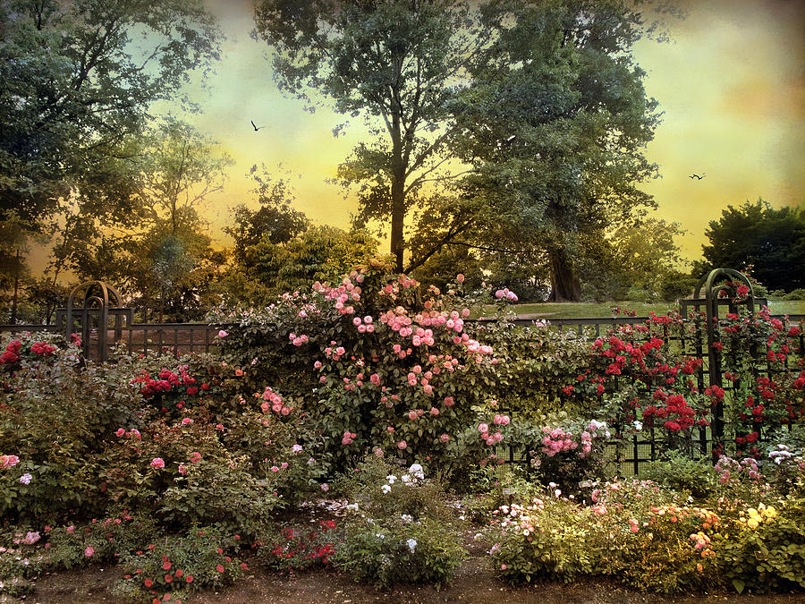 rose-garden-trellis-jessica-jenney.jpg