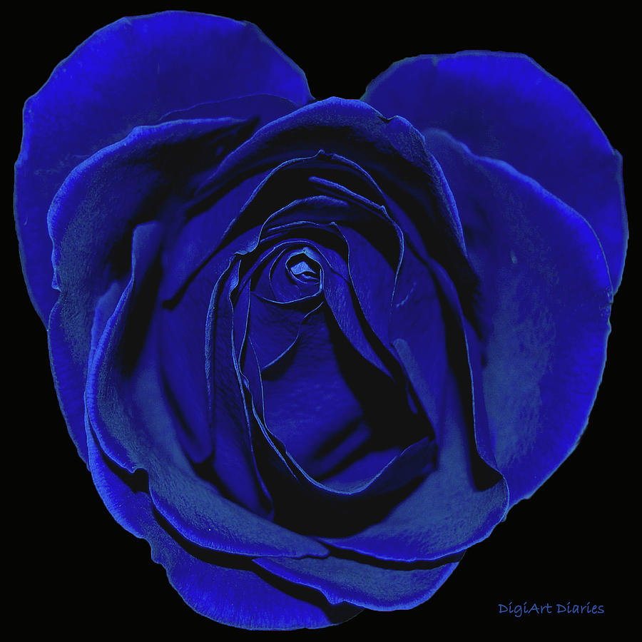 Blue Roses Heart