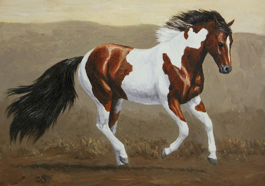 Running Pinto Mustang Painting - Running Pinto Mustang Fine Art Print