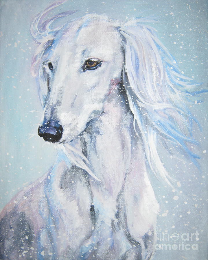 Saluki White