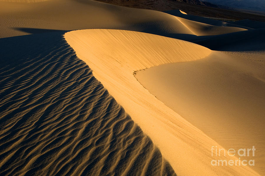 Sand Dune Formation At Death Valley Photograph by Marcus W Reinkensmeyer