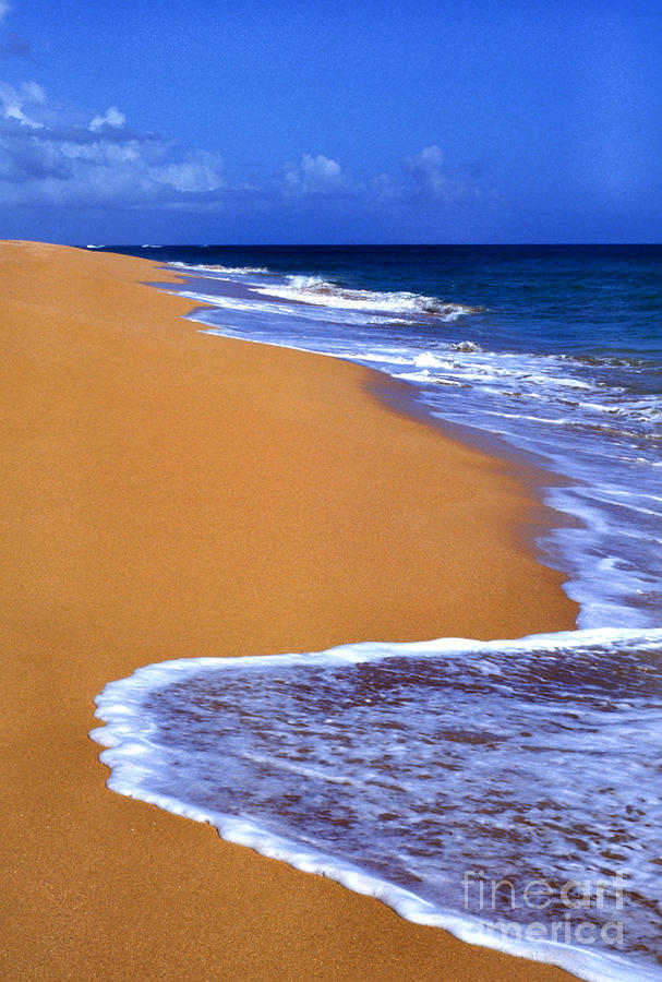 Sand Sea