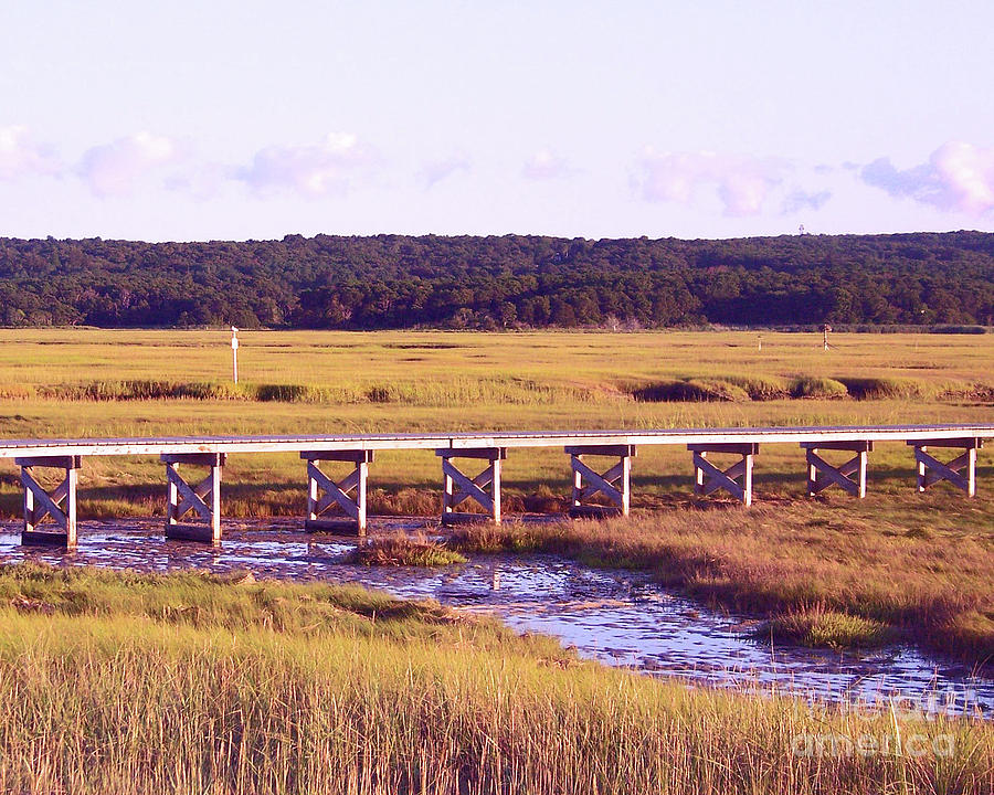 Sandwich Boardwalk Cape Cod Massachusetts by Elizabeth Thomas