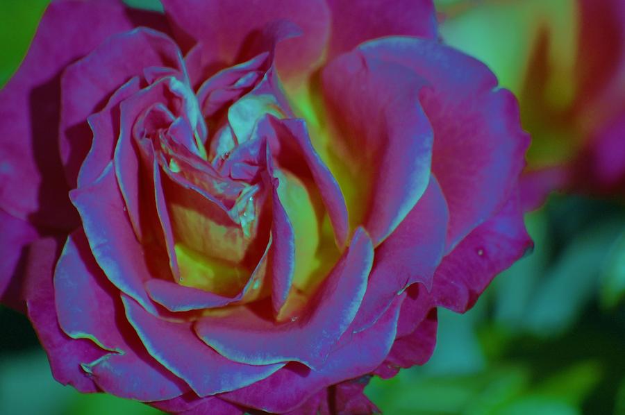 TESSA YEAR 11 ART 10. The Elements & Principles of Art