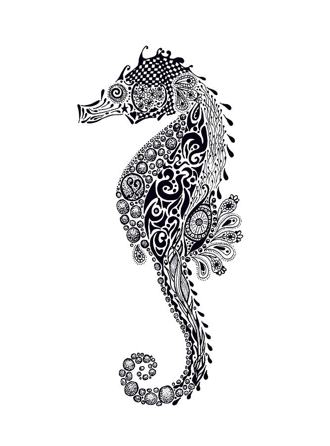 seahorses drawings