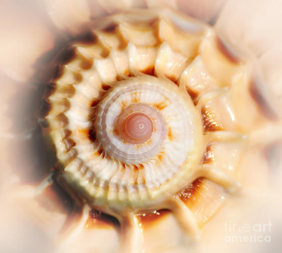 spiral photography