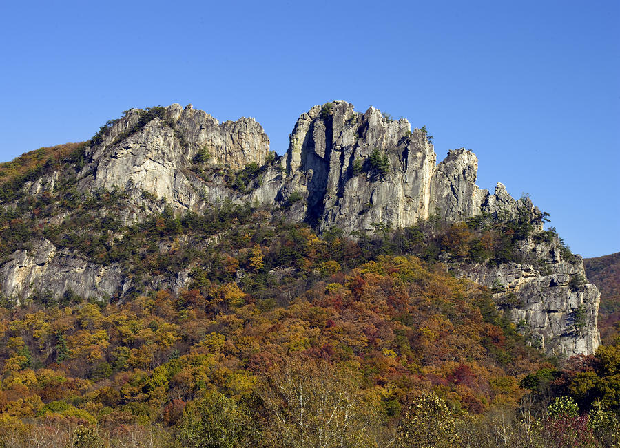Seneca Rocks West Virginia by Brendan Reals