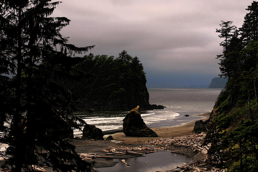 Download this Serene And Pure Ruby Beach Olympic Peninsula Photograph picture