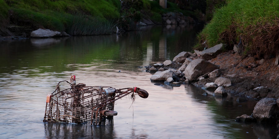 Art Shopping Trolley