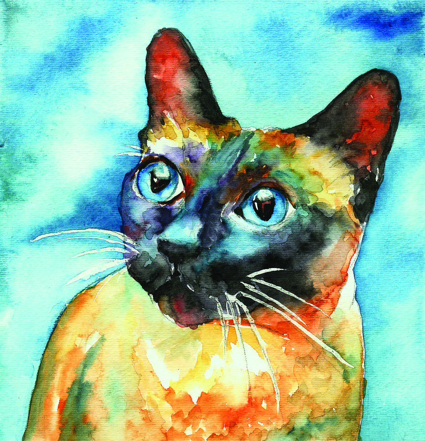 Doodlecat 3 Amazing Colorful Cat Paintings
