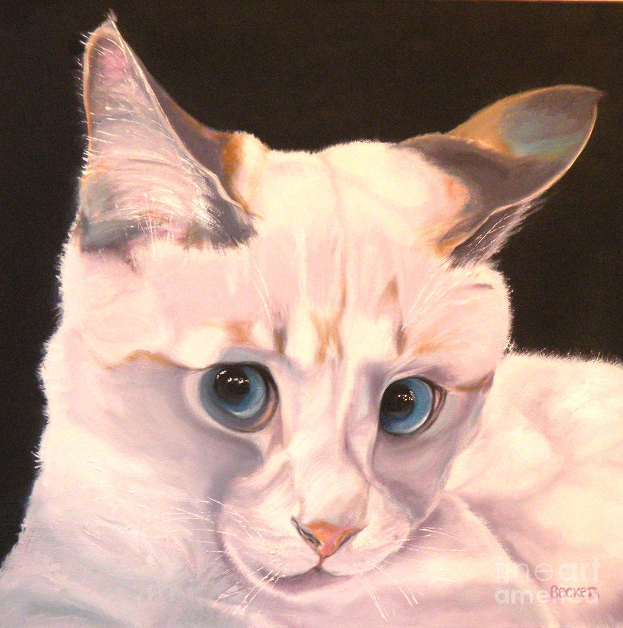 siamese rescue siamese rescue