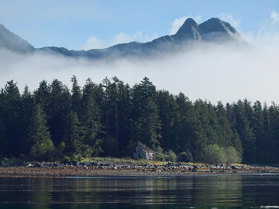 Sitka Alaska Abandoned Homestead by Elaine Snyder Sitka Alaska