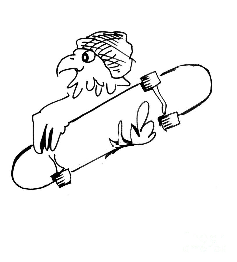 skateboard drawings