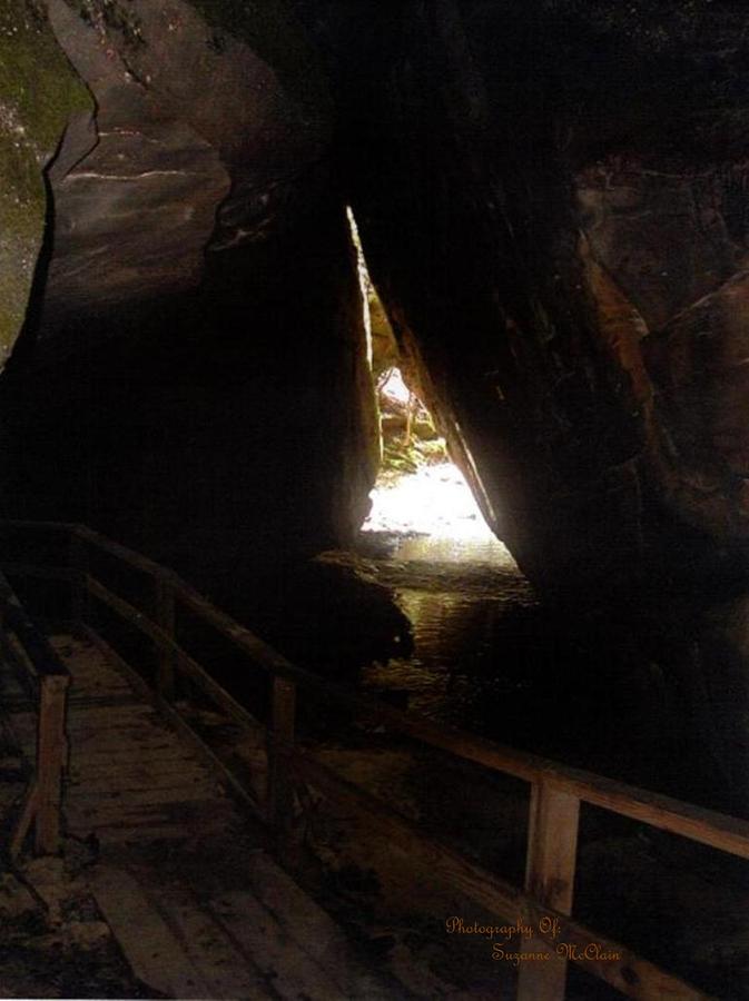  - skull-in-the-grotto-at-dismals-canyon-suzanne-mcclain-