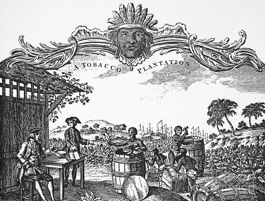 Plantation Slavery