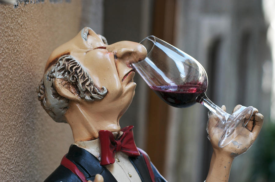 snooty-wine-sniffer-in-portugal-carl-purcell.jpg