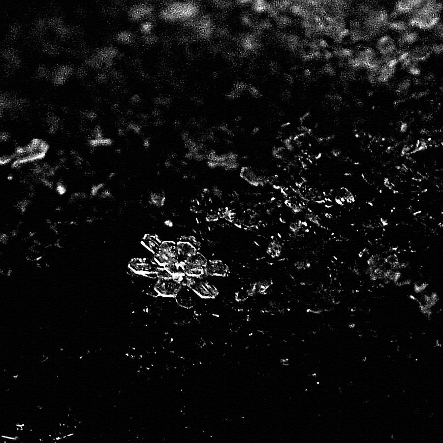 black snow