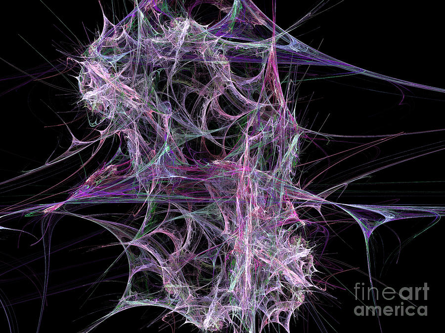 http://images.fineartamerica.com/images-medium-large/spider-web-andee-photography.jpg