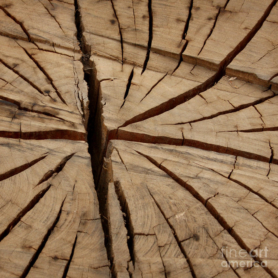 split wood
