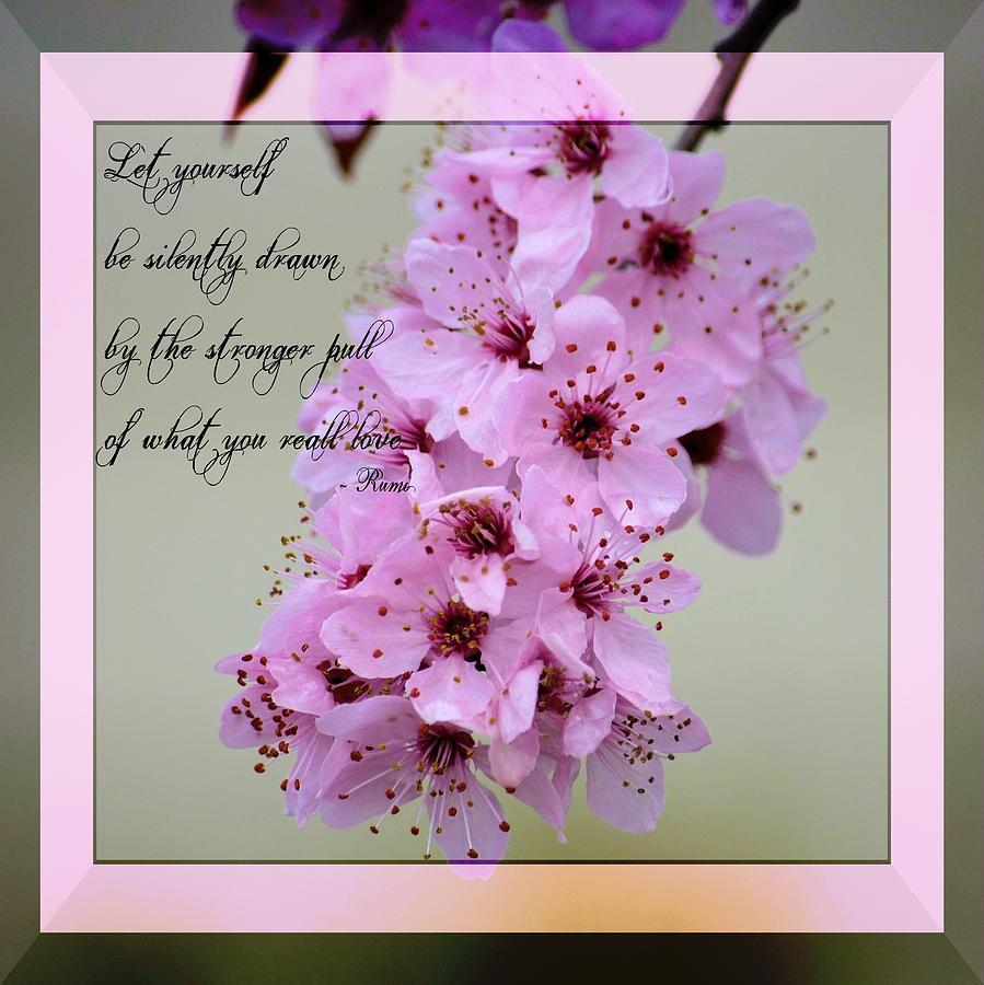 Springtime Quotes Inspirational. QuotesGram